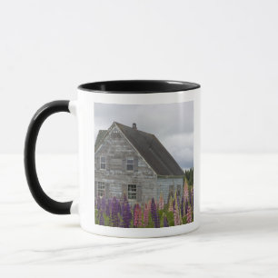 Caneca América do Norte, Canadá, Ilha do Príncipe Eduardo