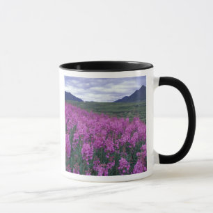 Caneca América do Norte, Canadá, Yukon. Fireweed floresce