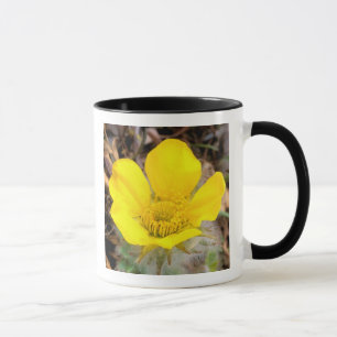 Caneca América do Norte, EUA, Alasca, Denali Nacional