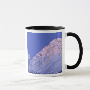 Caneca América do Norte, EUA, Alasca, Rio Knik,