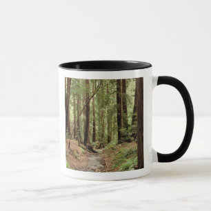 Caneca América do Norte, EUA, Califórnia, Big Sur, 3