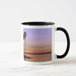 Caneca América do Norte, EUA, Flórida, Mt. Dora, uma tría