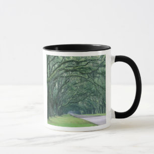 Caneca América do Norte, EUA, Geórgia, Savannah,