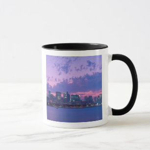 Caneca América do Norte, EUA, IL. Horizonte de Chicago ao