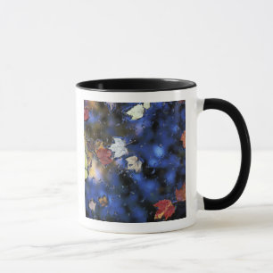 Caneca América do Norte, EUA, NH, Folhas em uma lagoa pró