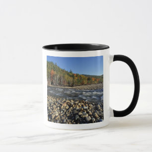 Caneca América do Norte, EUA, NH, Uma praia de seixos na