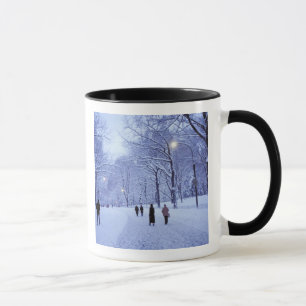 Caneca América do Norte, EUA, Nova York, Cidade de Nova Y