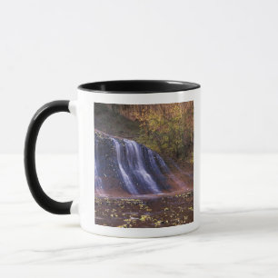 Caneca América do Norte, EUA, Utah, Parque Nacional Zion.