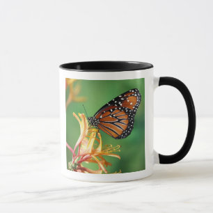 Caneca América do Norte, EUA, WA, Seattle, Woodland Park