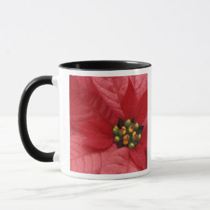 Caneca América do Norte, EUA, WA, Woodinville, Vermelho 2