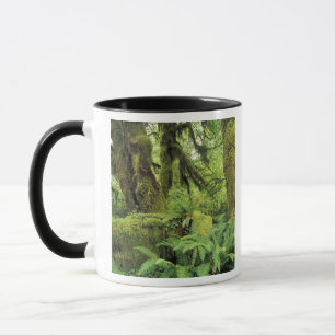 Caneca América do Norte, EUA, Washington, Olímpico 3
