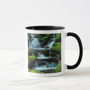 Caneca América do Norte;EUA; Washington, Sol Duc Cascade