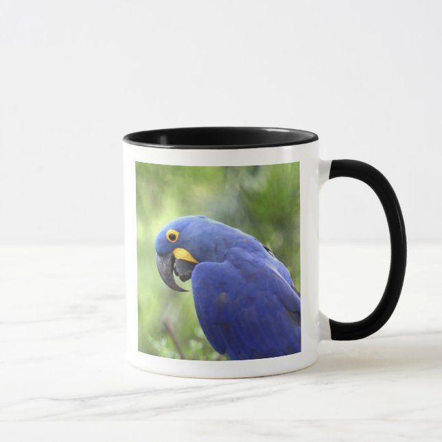 Caneca América do Sul, Brasil, Pantanal (Direita)