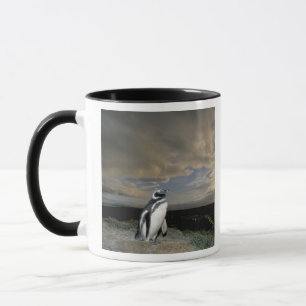 Caneca América do Sul, Chile, Patagônia, Magellanes,