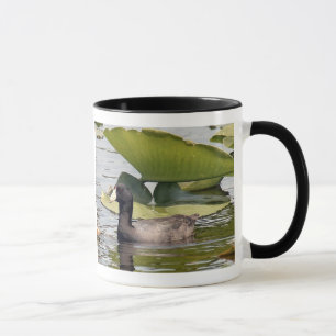 Caneca American Coot Mug