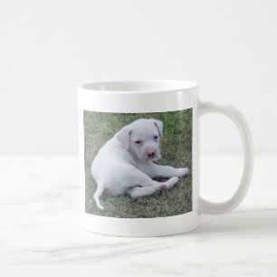Caneca americana do filhote de cachorro do