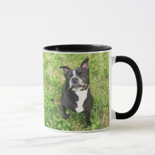 Caneca Americano Bull Terrior