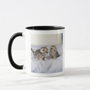 Caneca Americano Shorthair 7