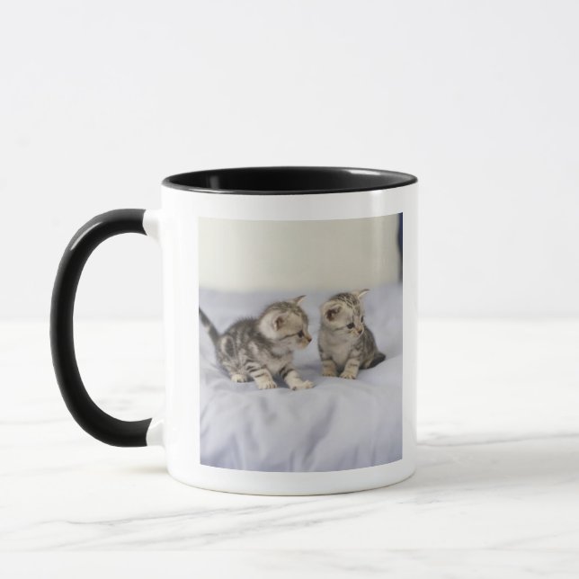 Caneca Americano Shorthair 7 (Esquerda)