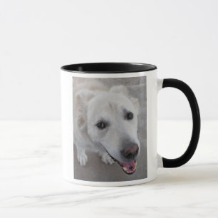 Caneca Amores do CÃO do sorriso você