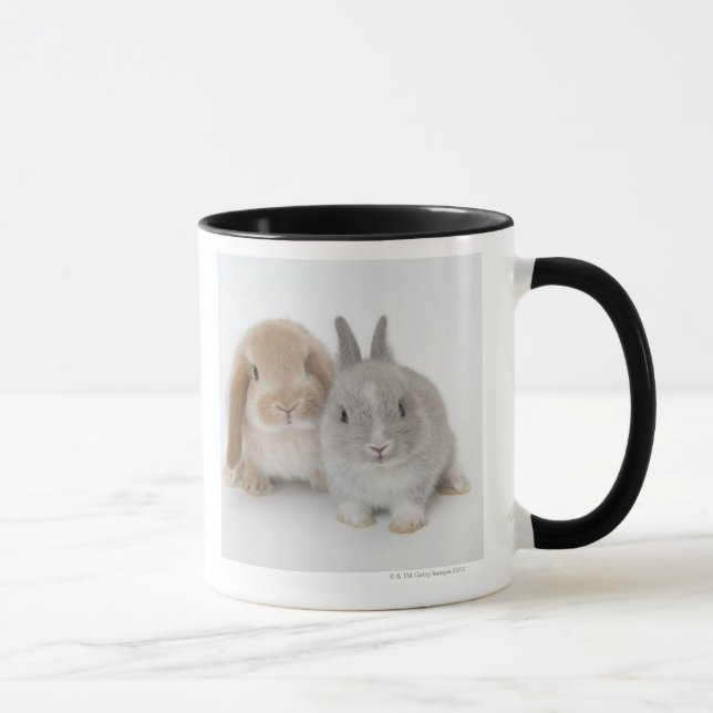 Caneca Anão dois Netherland e coelhos de Holland Lop (Direita)