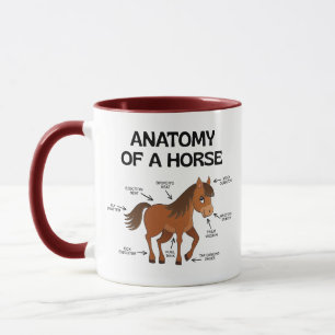 Caneca Anatomia de um Cavalo Cuto, Memória Científica Equ