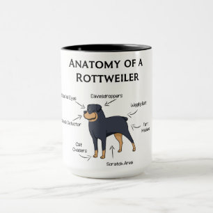 Caneca Anatomia De Um Rottweiler