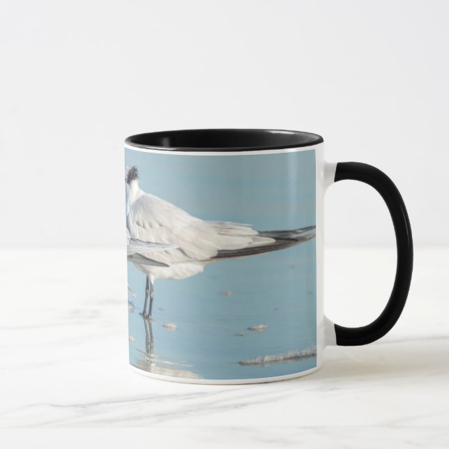 Caneca Andorinhas-do-mar-reais na praia (Direita)
