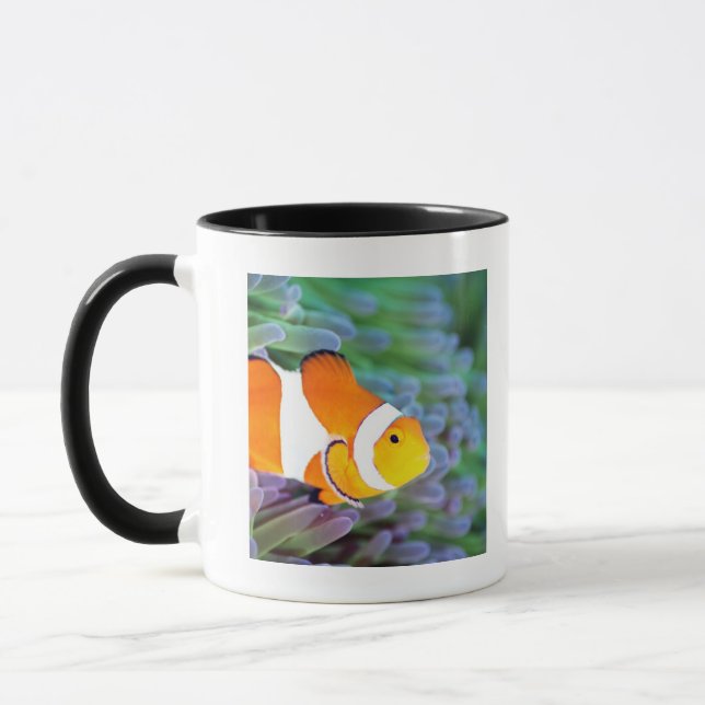 Caneca Anemonefish do palhaço (Esquerda)