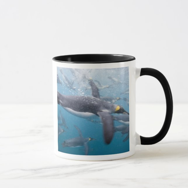 Caneca Antártica, Ilha da Geórgia do Sul, Reino Unido (Direita)