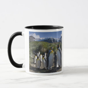 Caneca Antártica, Ilha da Geórgia do Sul (Reino Unido), R