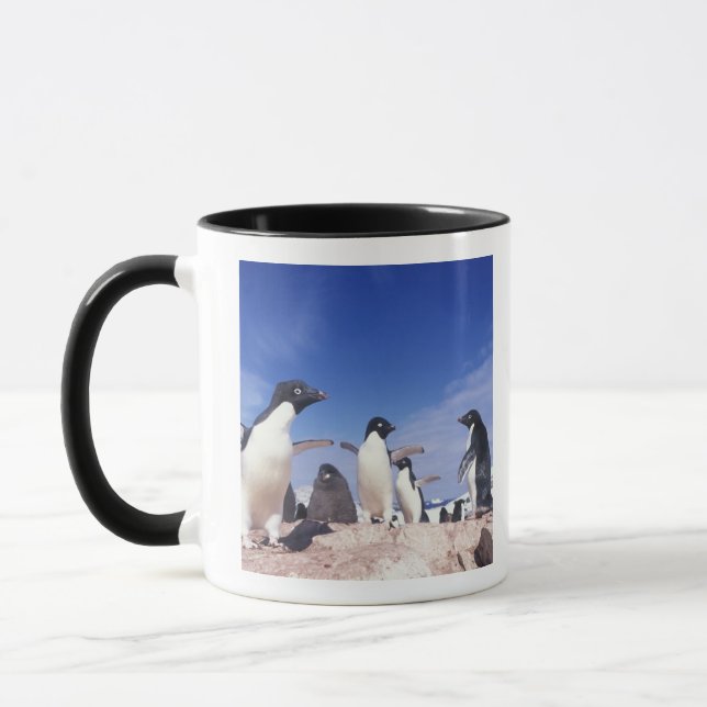 Caneca Antártica, Pinguim Adelie Pygoscelis (Esquerda)