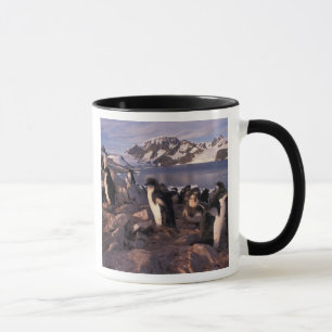 Caneca Antártica, pintinhos de pinguins adereços