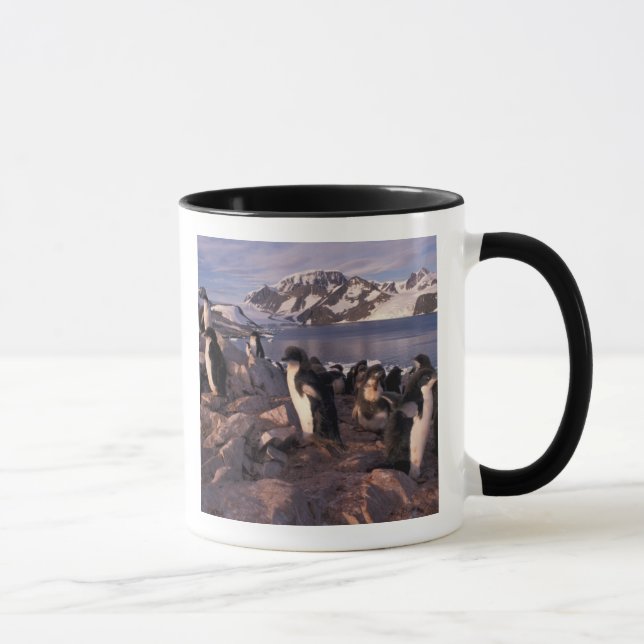 Caneca Antártida, filhotes de pinguim Adelie (Direita)