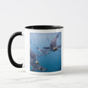 Caneca Antártida, Ilha da Geórgia do Sul (Reino Unido), 2