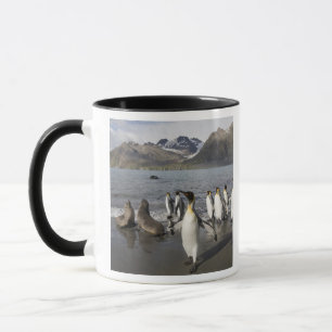 Caneca Antártida, Ilha da Geórgia do Sul (Reino Unido), A