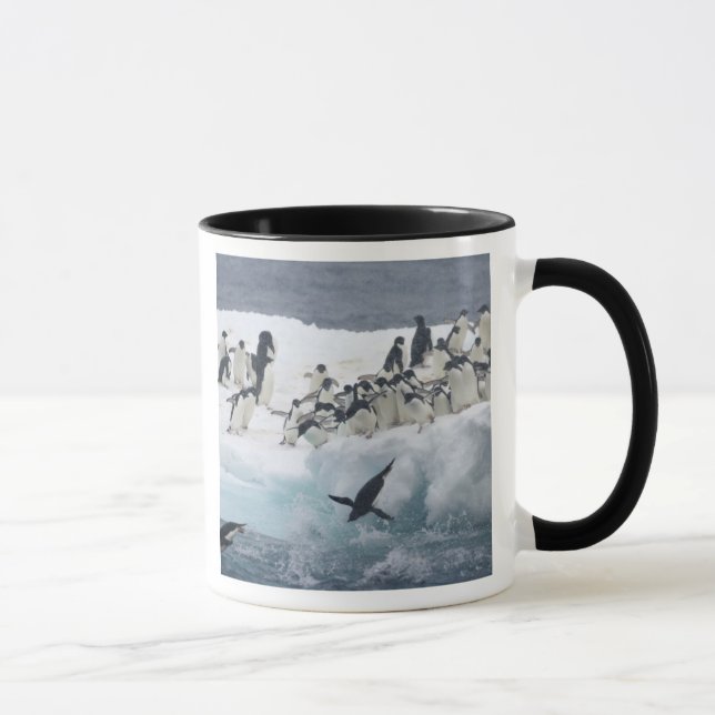 Caneca Antártida, Ilha Paulet. Pinguins Adelie (Direita)