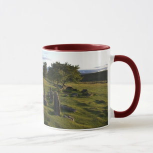 Caneca antiga do pagamento de Dartmoor
