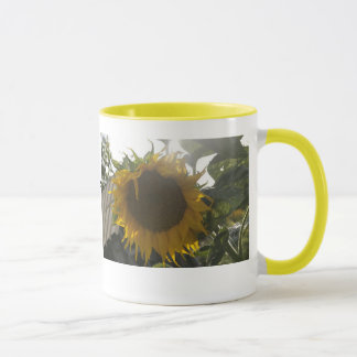 Caneca Aprecie o SOL (flor)… - >