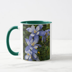 Caneca Aquilegia Azul do Colorado perto de Telluride Colo