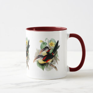Caneca Aracari Encaracolado-com crista