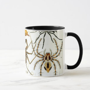 Caneca Aranhas ou Aracnídeos Vintage por Ernst Haeckel