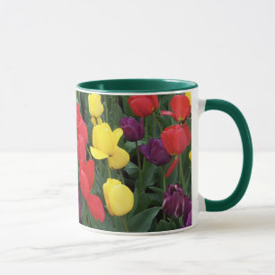 Caneca Arco-íris da tulipa