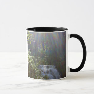 CANECA ARCOS-ÍRIS DE EDEN