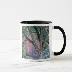 Caneca Área de Recreação Nacional Glen Canyon, Utah. EUA.