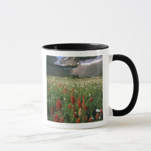 CANECA ÁREA SELVAGEM DO MONTE TIMPANOGOS, UT, EUA,