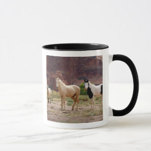 Caneca Arizona, Reserva Indígena Navajo, Chinle,