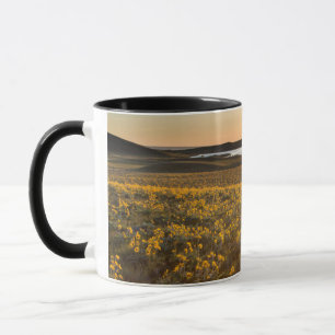 Caneca Arranjo de Flores Silvestres de Balsamroot de Folh