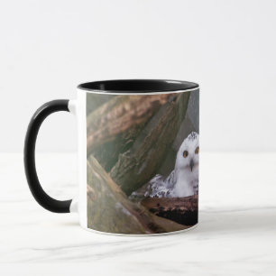 Caneca Arte de vida selvagem da coruja-da-neve no bosque