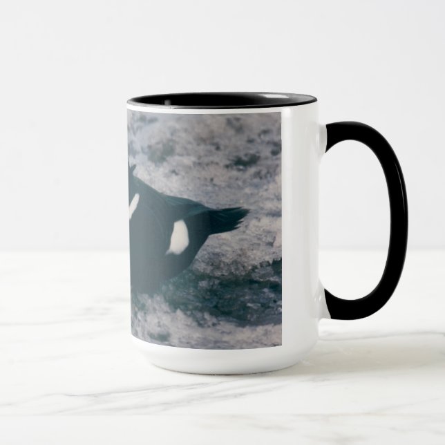 Caneca Ártico Alaska Waterfowl King Eider Male Foto (Direita)